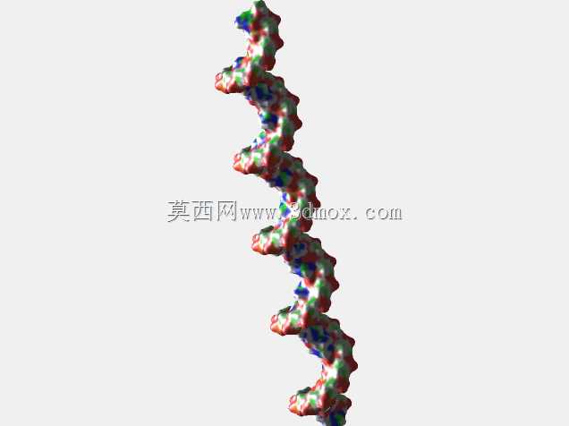 DNA,B型,双链,50碱基对