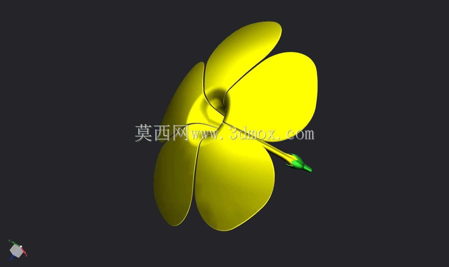 可爱的花