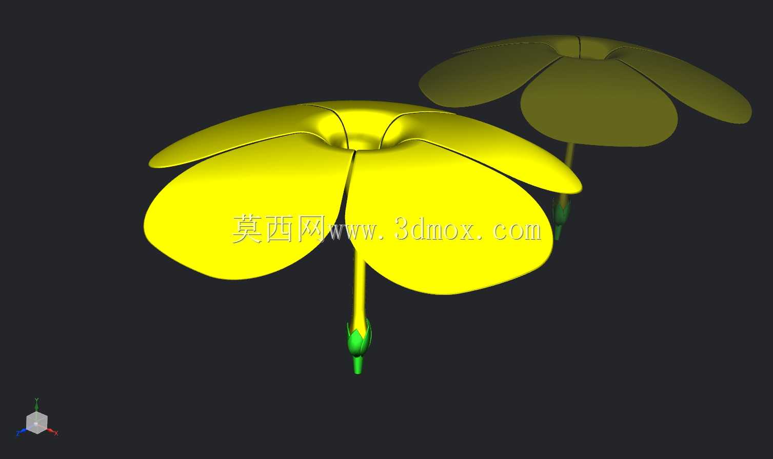 可爱的花