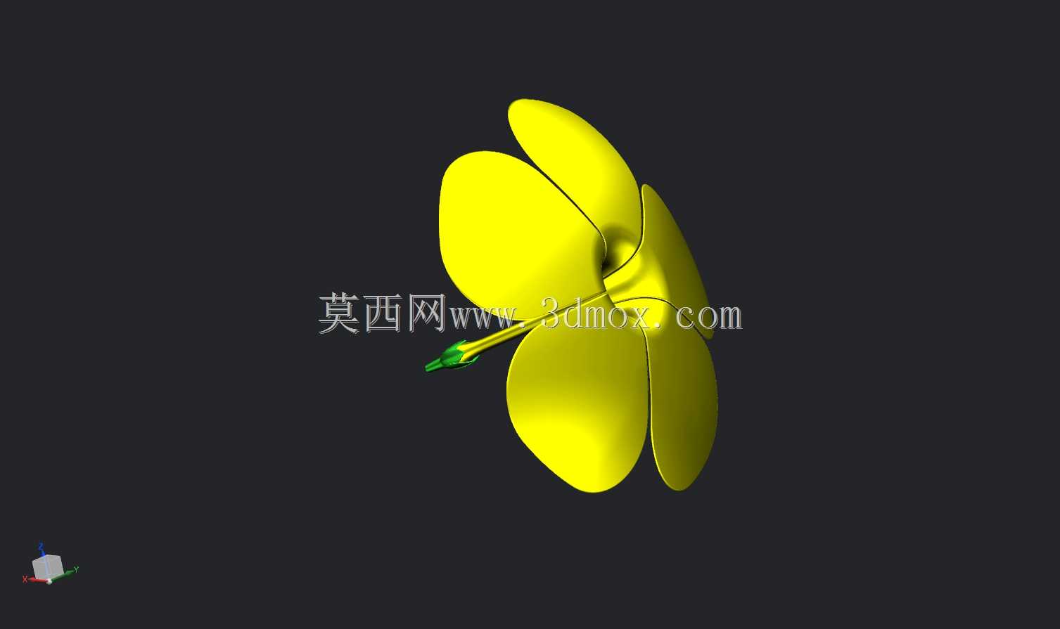 可爱的花