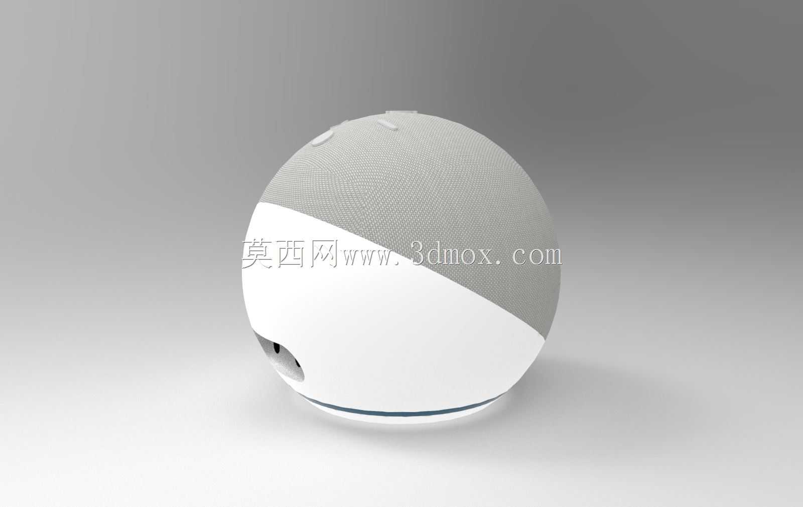 ����ѷEcho Dot��4��