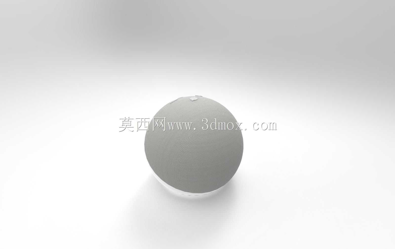����ѷEcho Dot��4��