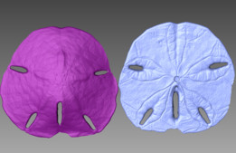 ɳ�ҵ�3dɨ��