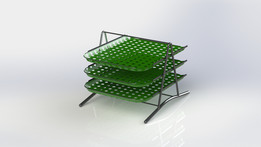 �칫�һ���