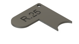 R�� 25�뾶��