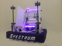 2014-Spectrum 3847-F
