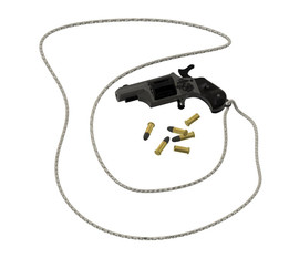 22LR 5��������ǹ������һ�����Ƶģ����������