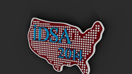 IDSA Pin��