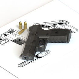 FHS-9