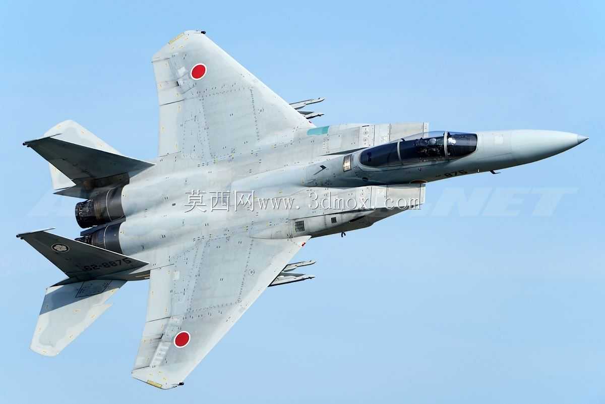 三菱F-15J,DJ Eagle