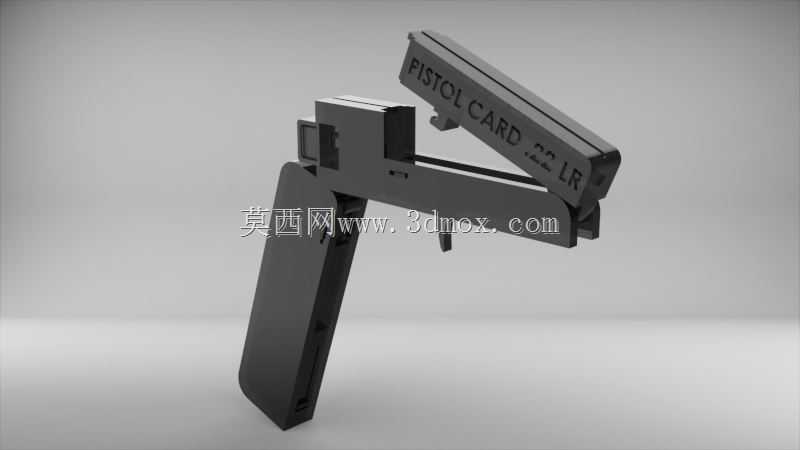手枪卡。22LR-军械库