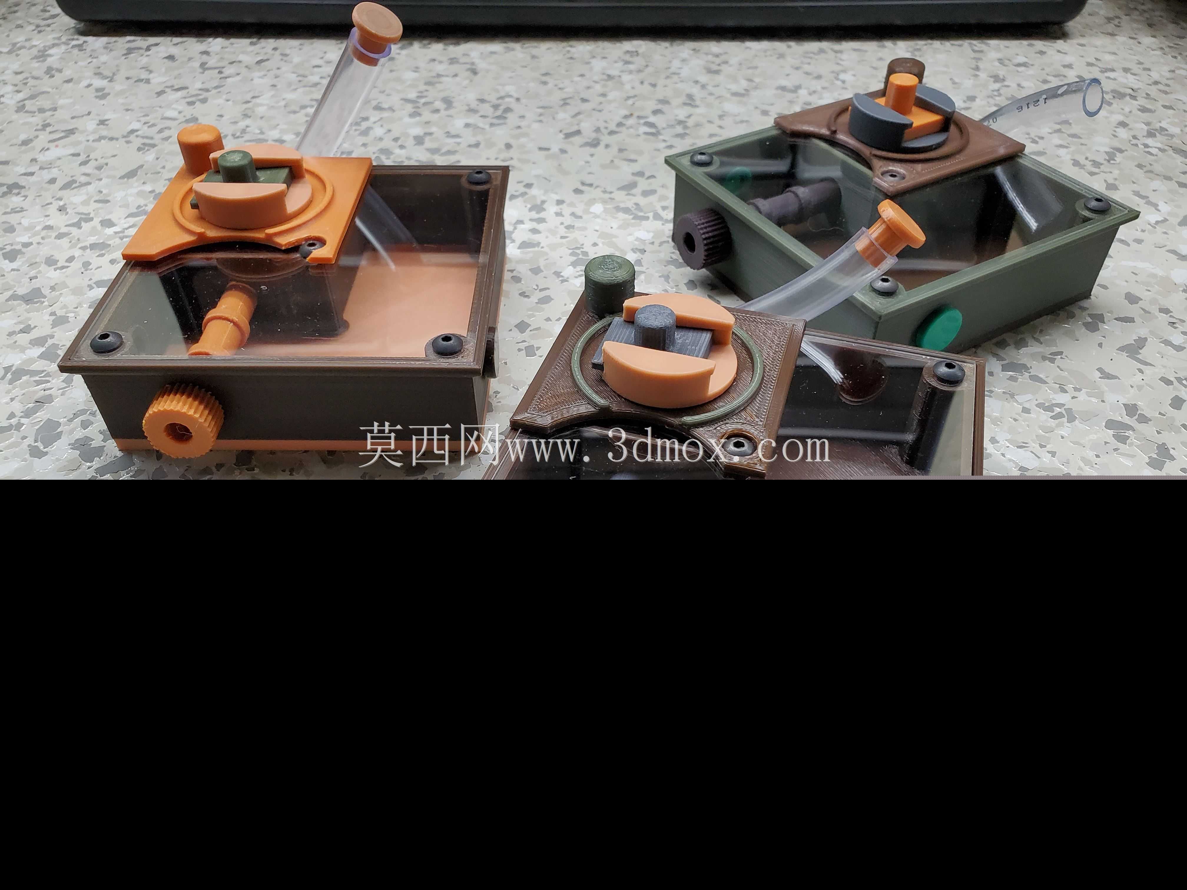 蚁后创建室