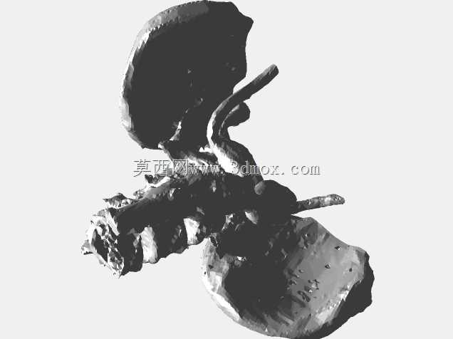 cta�����������Ա�