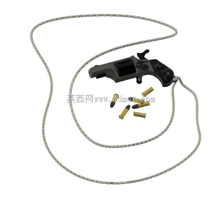 22LR 5��������ǹ������һ�����Ƶģ����������