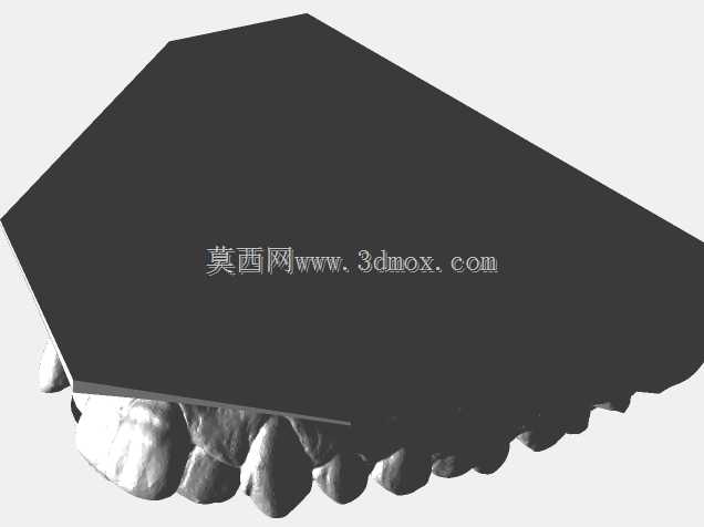下颌和上颌牙齿模型