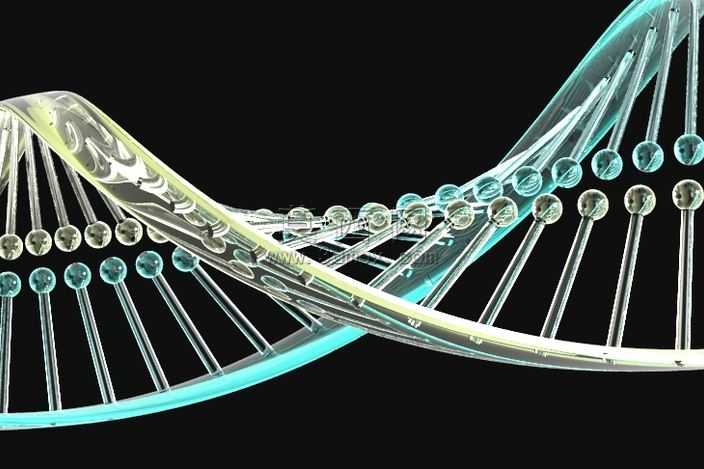 ˫����DNA��
