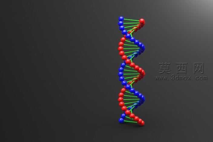DNA������������
