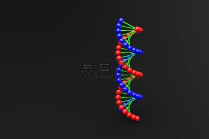DNA������������
