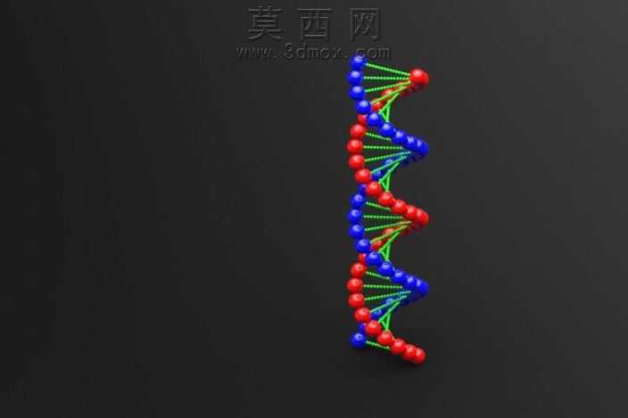 DNA������������
