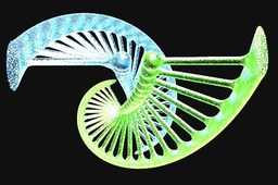 ˫����DNA��
