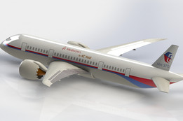 ����MH 370