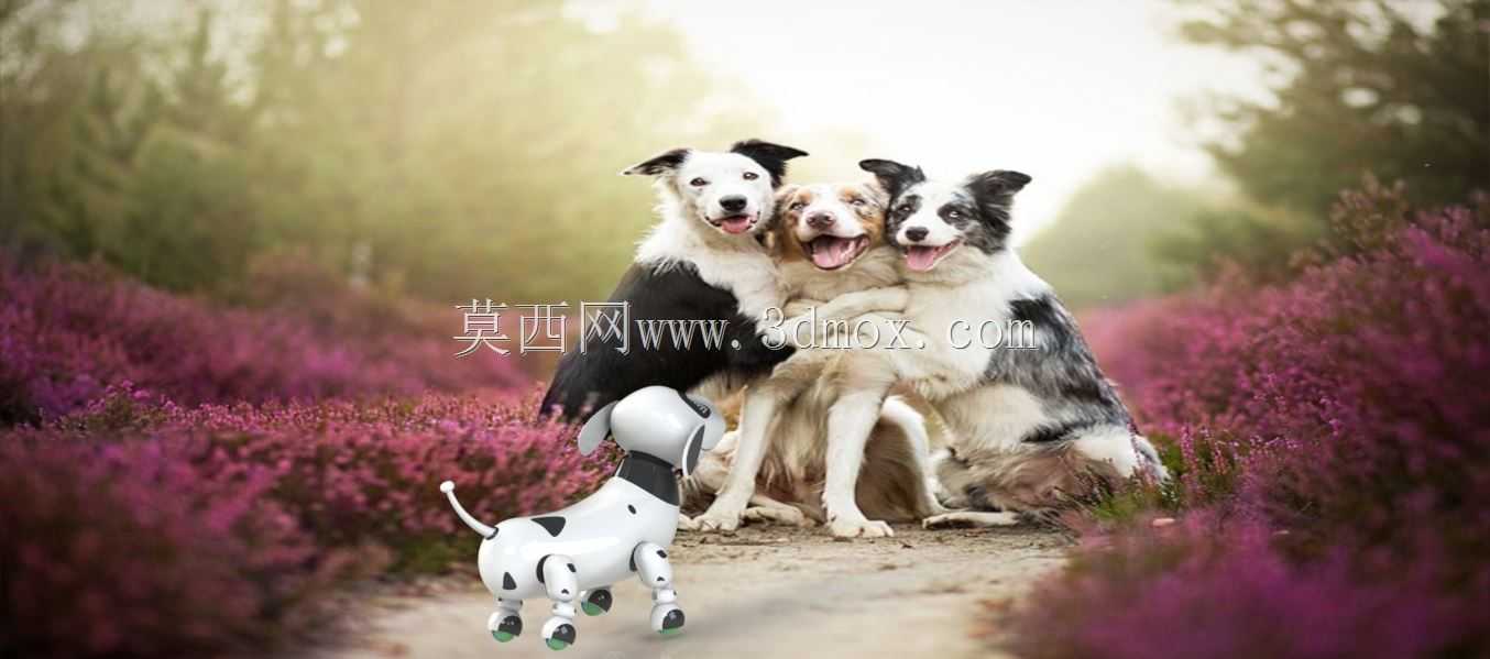 �����˹�