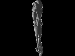 T 800�ն���ģ��