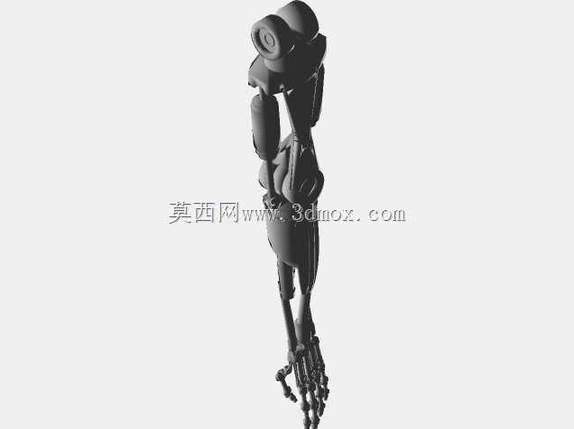 T 800�ն���ģ��