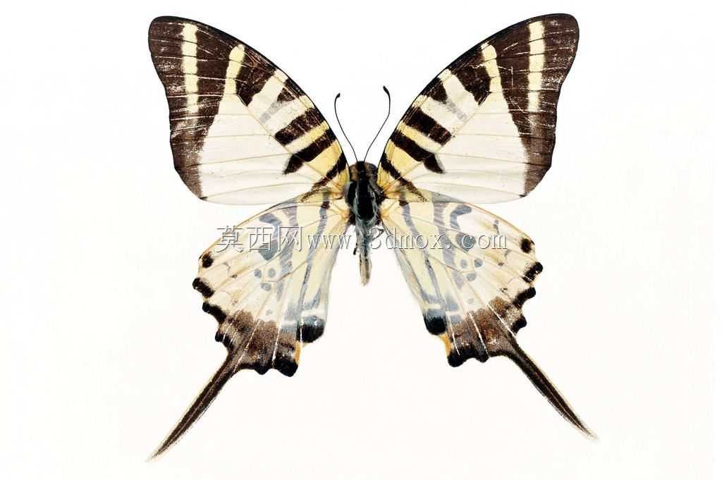 ����3D
