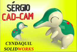 Cyndaquil���汦��S��