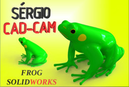 frog sapo r?S��rgio 
