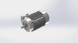 ���Lafert AMHE 100L