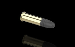 .22 LR