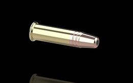 .22 LR JHP