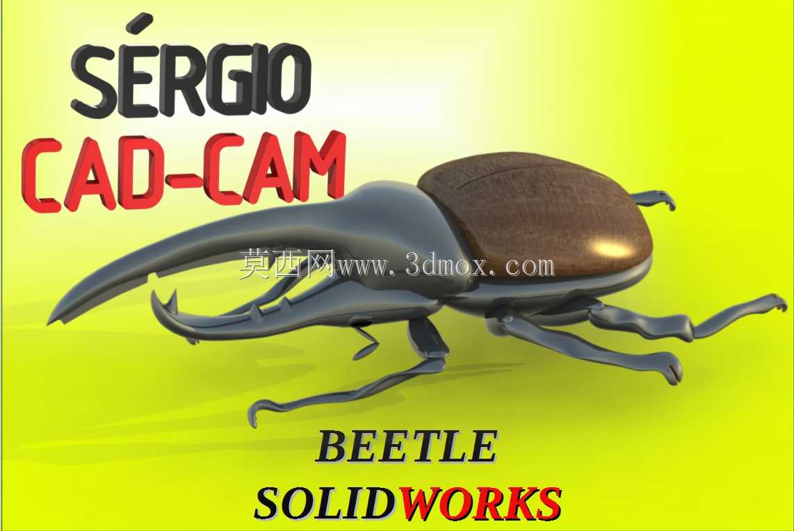 甲壳虫BESOURO Sérgio CAD CAM