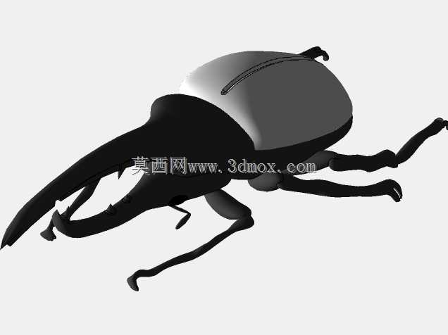 甲壳虫BESOURO Sérgio CAD CAM