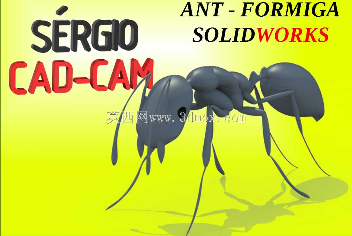 Ant-Formiga Sérgio CAD CAM