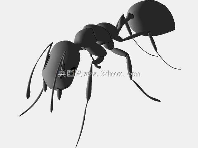 Ant-Formiga Sérgio CAD CAM