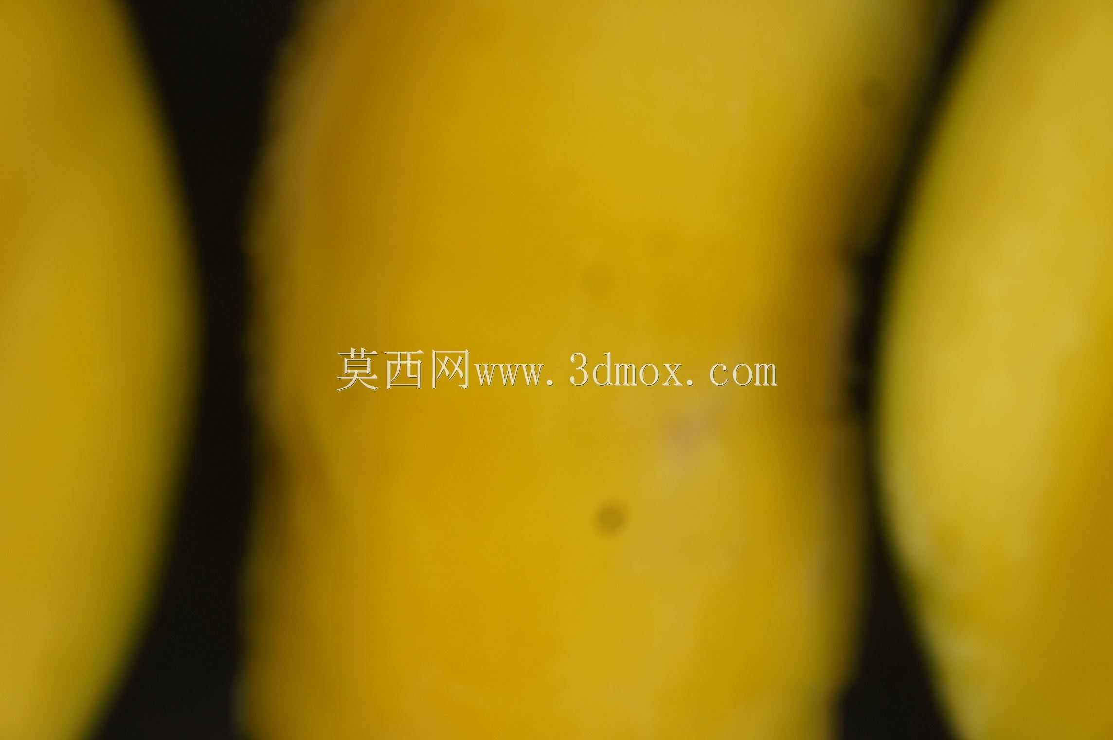 â����о��