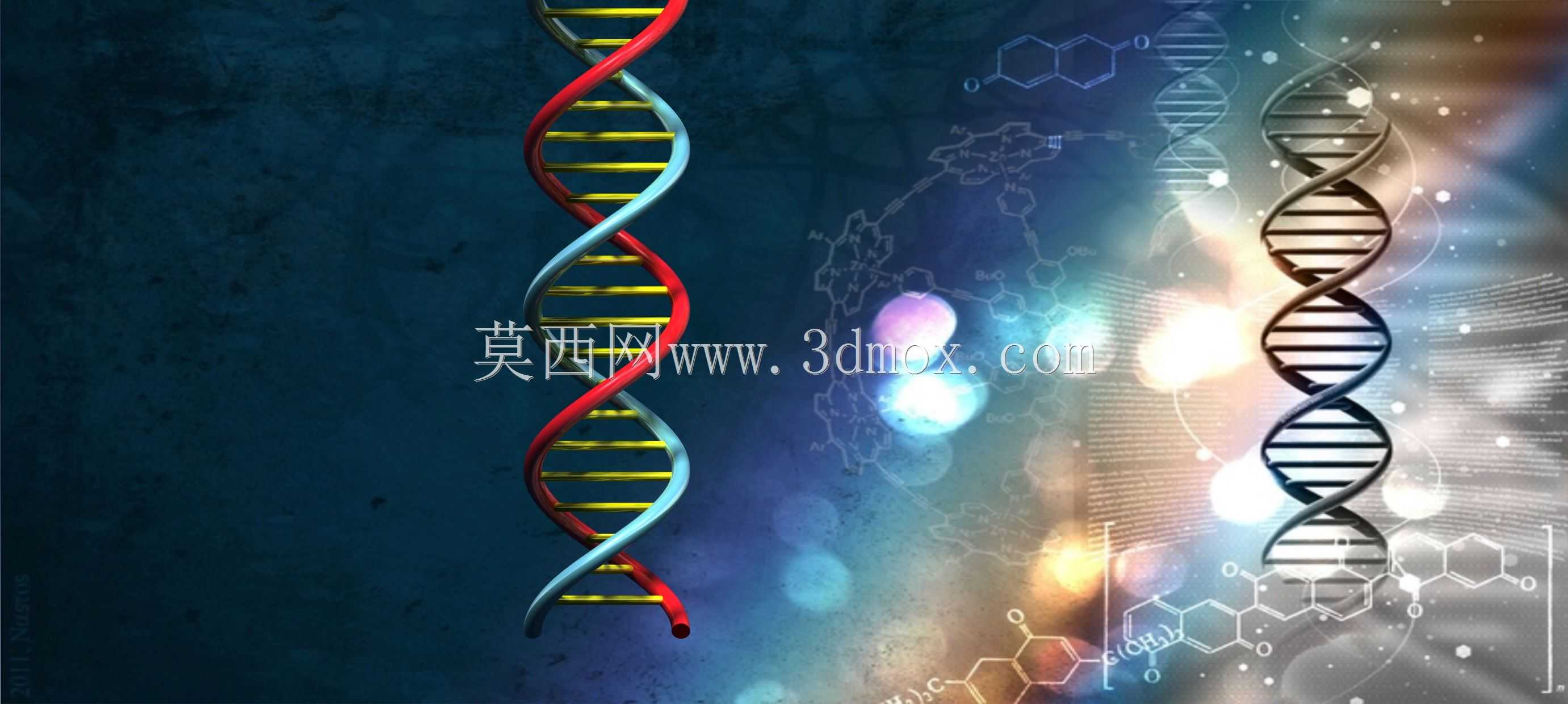 �������Ǻ���