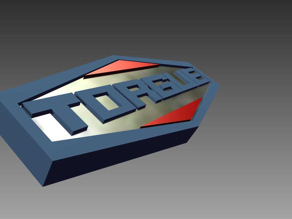 TORGUE��˾��־