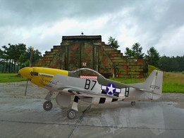 ����P-51DҰ��
