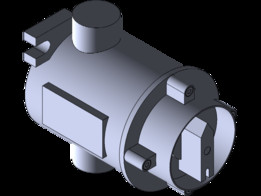 �ڻ�EX D IIC