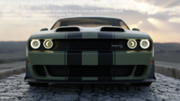 ������ս��SRT����è2019