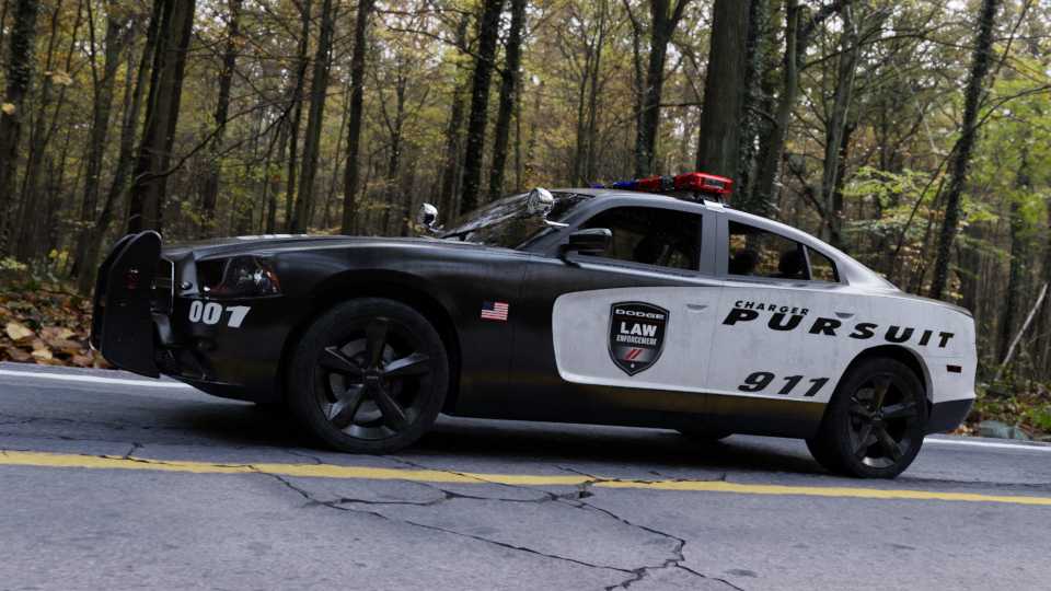 ������������2011