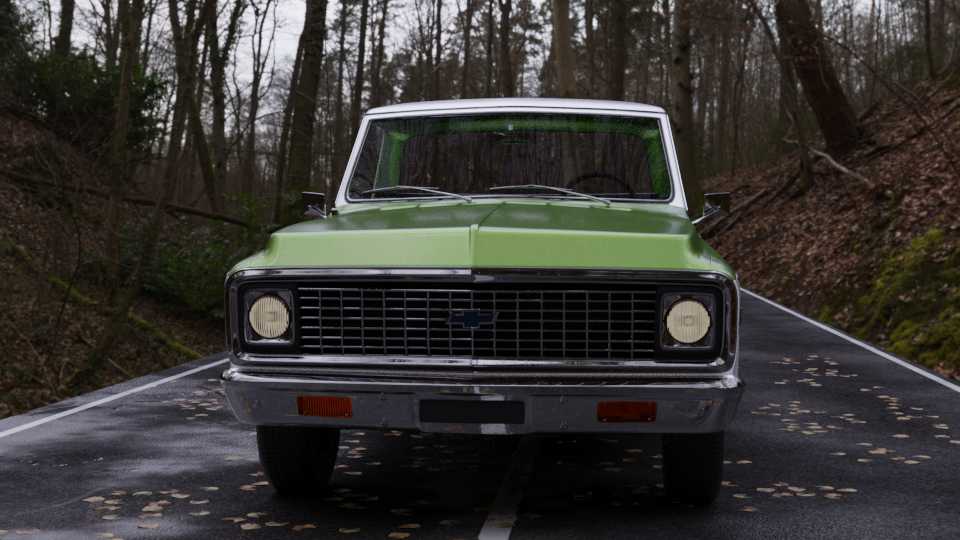 ѩ����C10����Ƥ��1971
