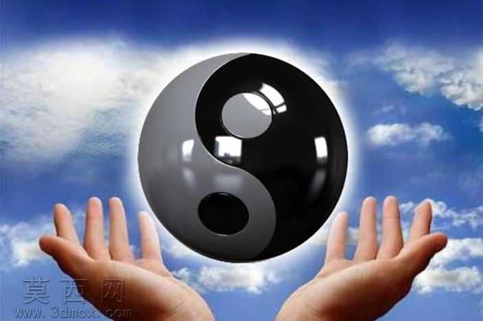 英和杨3D