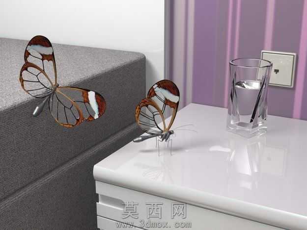 ����glasswing
