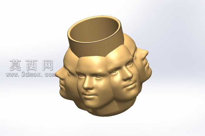 FaceCup

