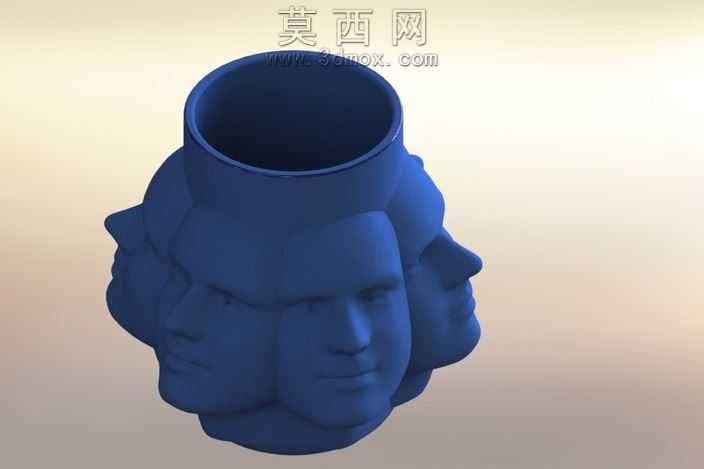 FaceCup
